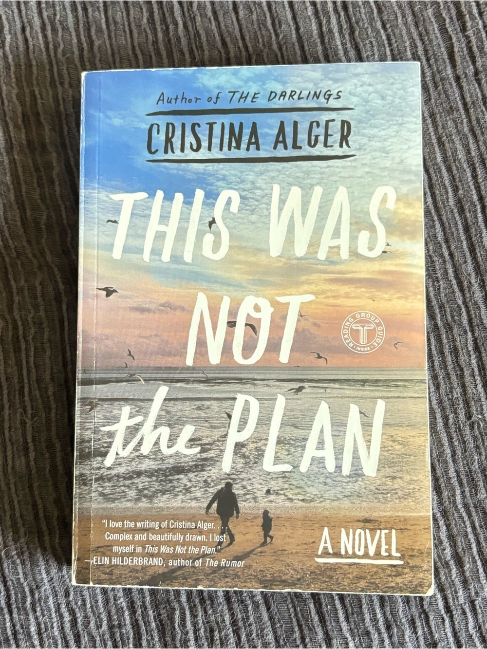 Fiction Book Cristina Alger This Was Not the Plan Paperback Novel